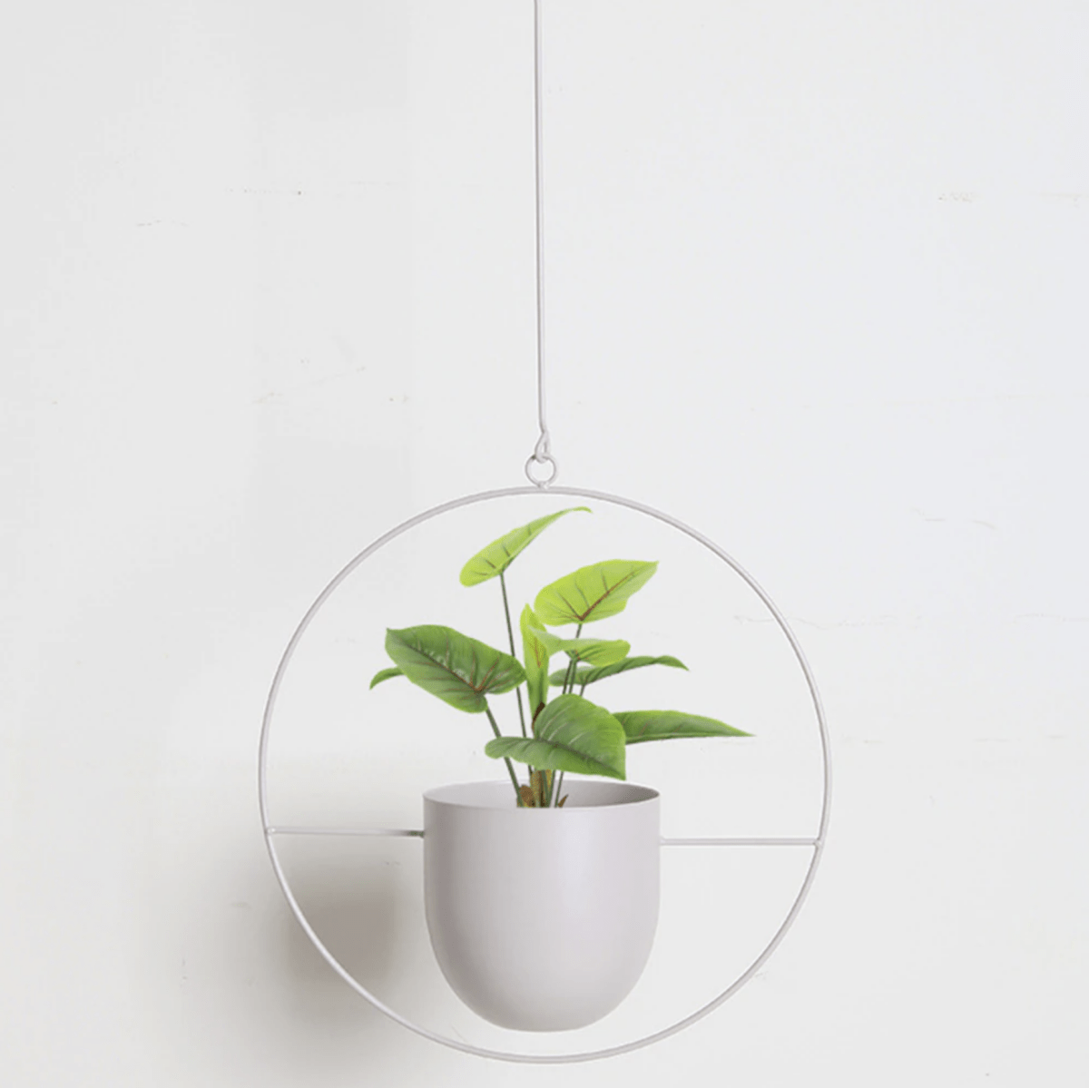 Vero Wand-Pflanzenhalter - Eisen, Minimalistisch mit Verstellbarer Kette 13