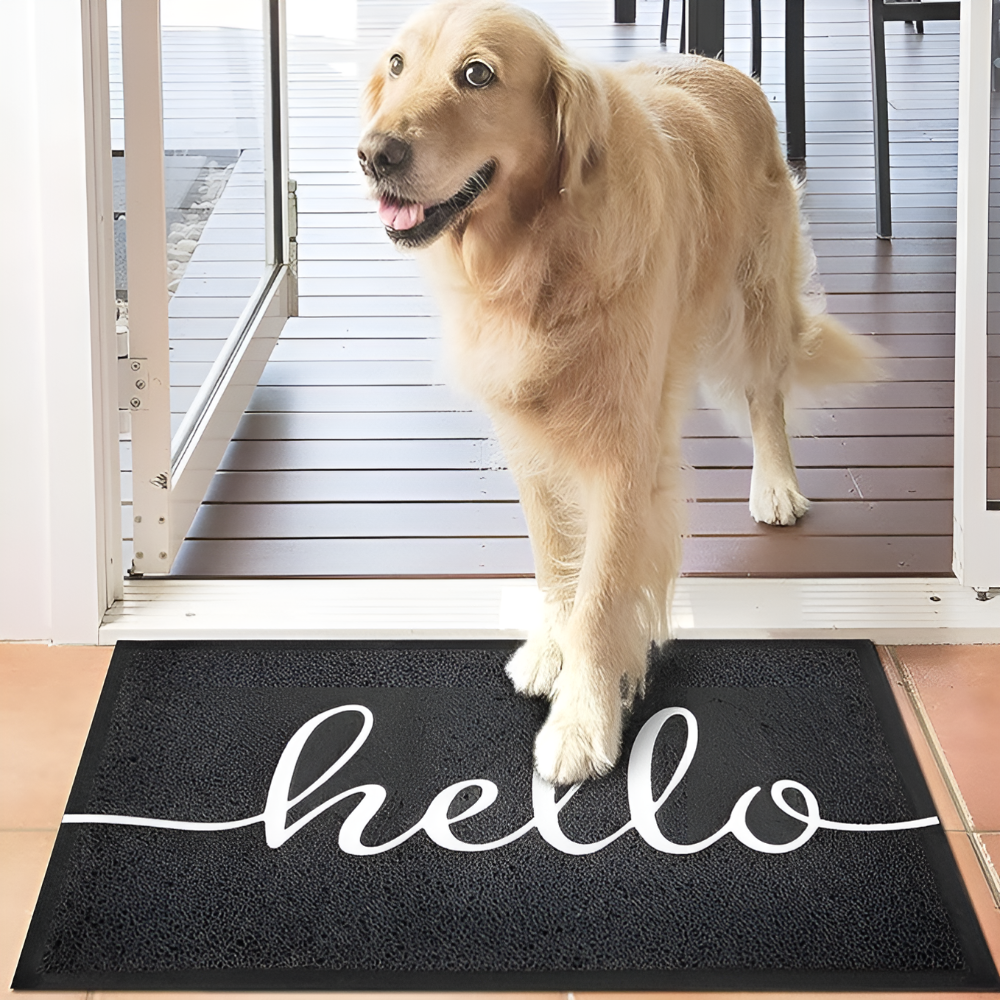 HelloEntry™ - Fußmatte Eingang - Modernes Design - Schmutzfang Matte