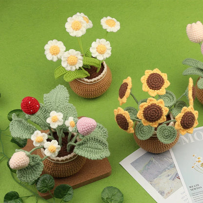 Anora Häkelset für Anfänger - Komplettes DIY mit Garn und Anleitung 3