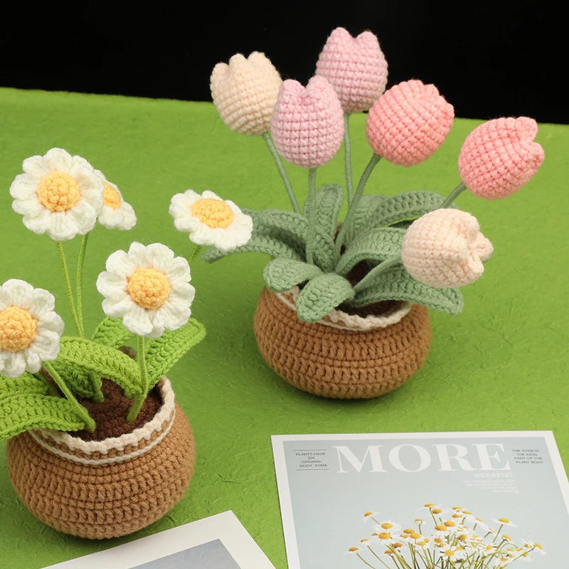 Anora Häkelset für Anfänger - Komplettes DIY mit Garn und Anleitung 4