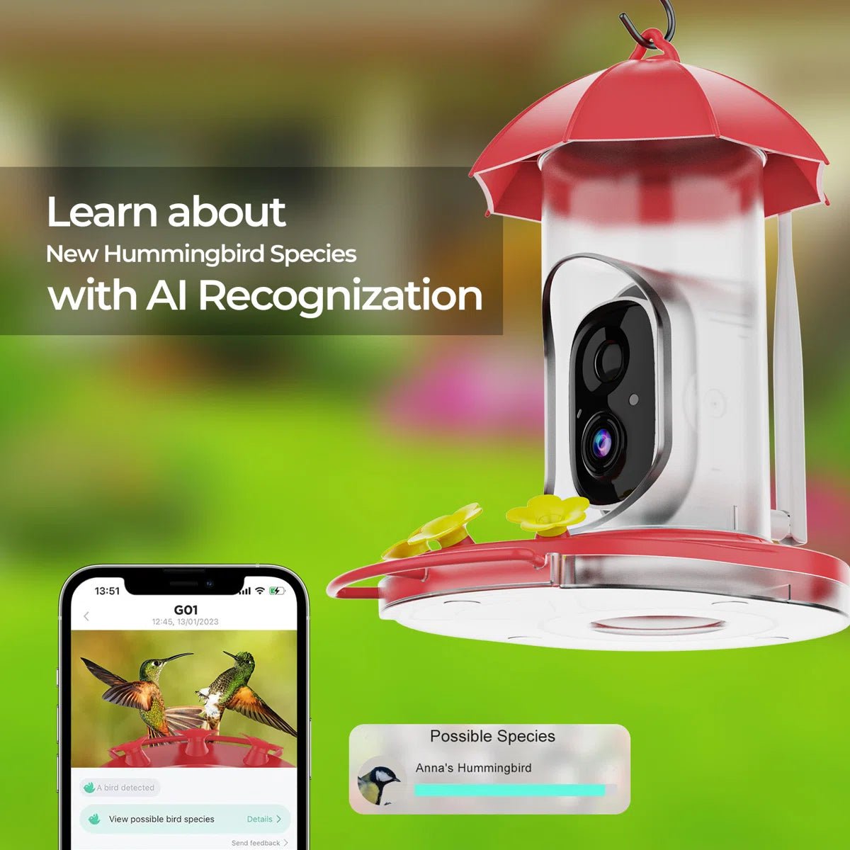 BIRDVUE Vogelhaus - Intelligente Überwachung mit 1080P Kamera 4