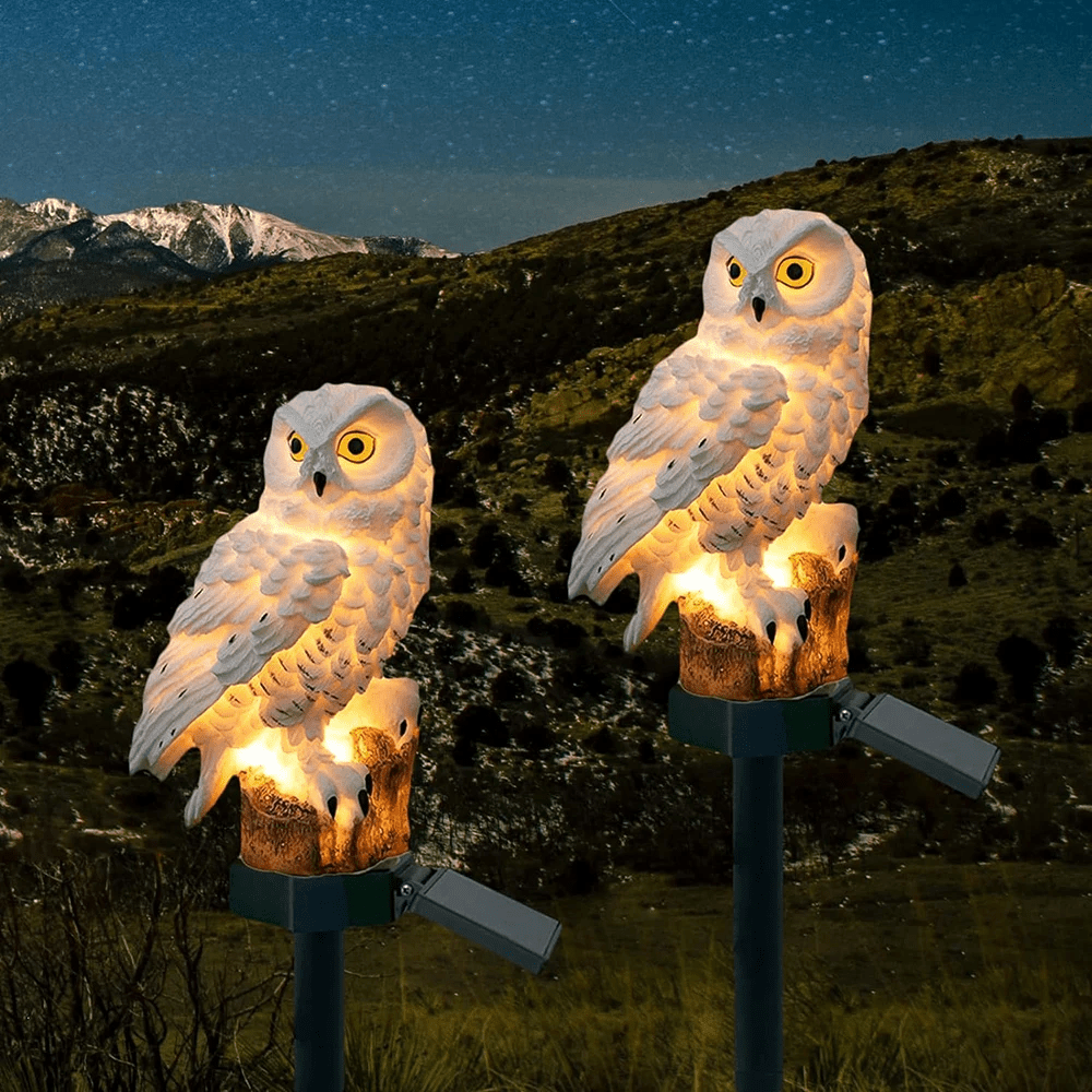 Ecolux Solarleuchte - LED, Wasserfest, Charmantes Eulendesign für Garten 5