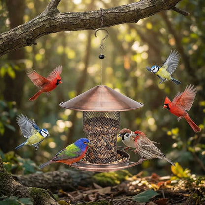 Eichhorn Vogelhaus - Robustes Eisen, Automatische Fütterung 0