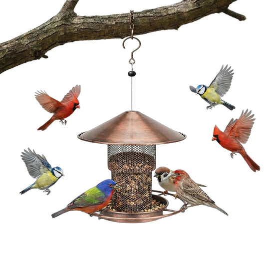 Eichhorn Vogelhaus - Robustes Eisen, Automatische Fütterung 1