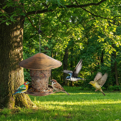 Eichhorn Vogelhaus - Robustes Eisen, Automatische Fütterung 3