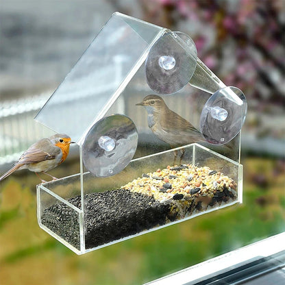 Fidela Vogelfutterspender - Transparente Sicht, Starke Saugnäpfe 4