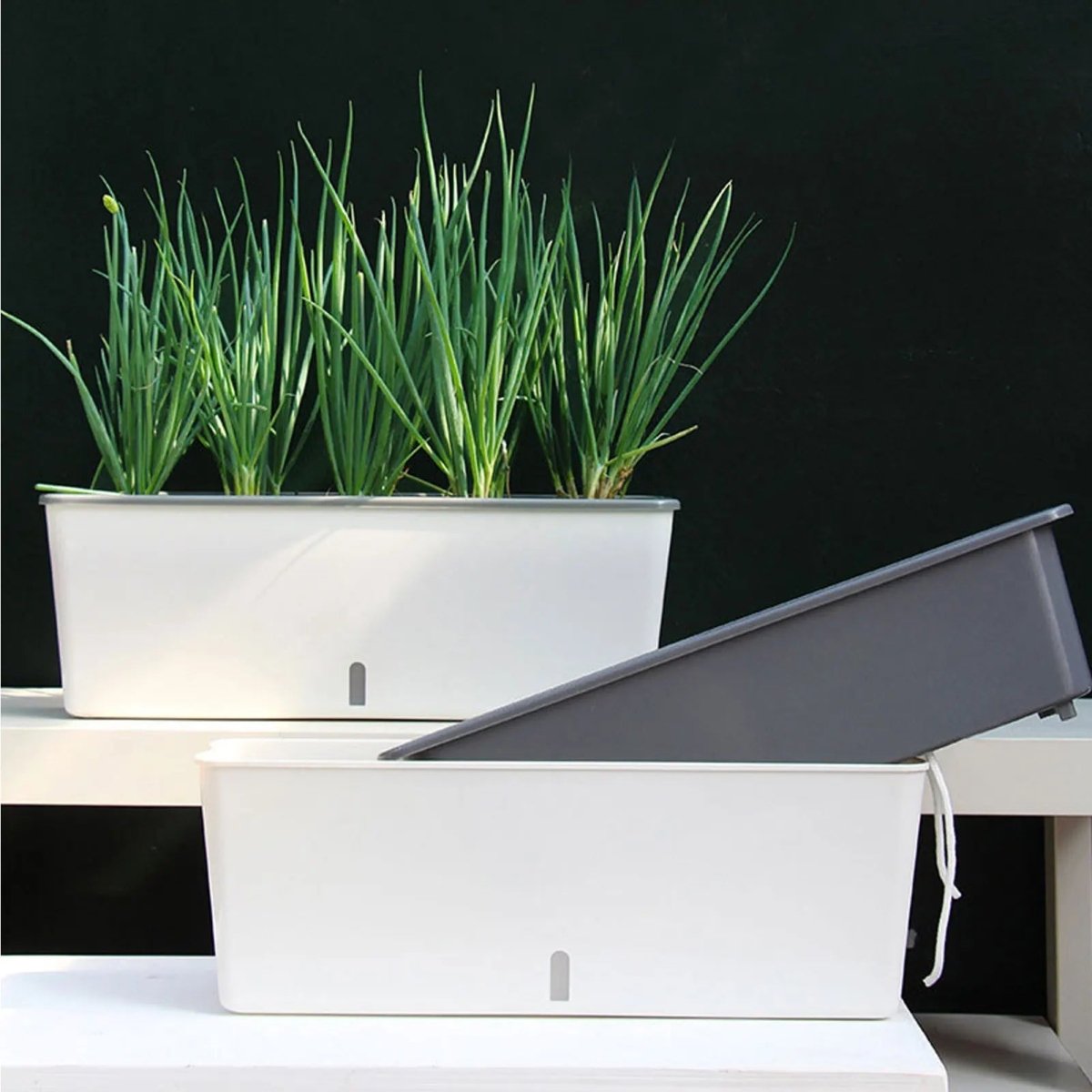 Harmonia Pflanzgefäß - Selbstbewässernd, Modernes Design 4