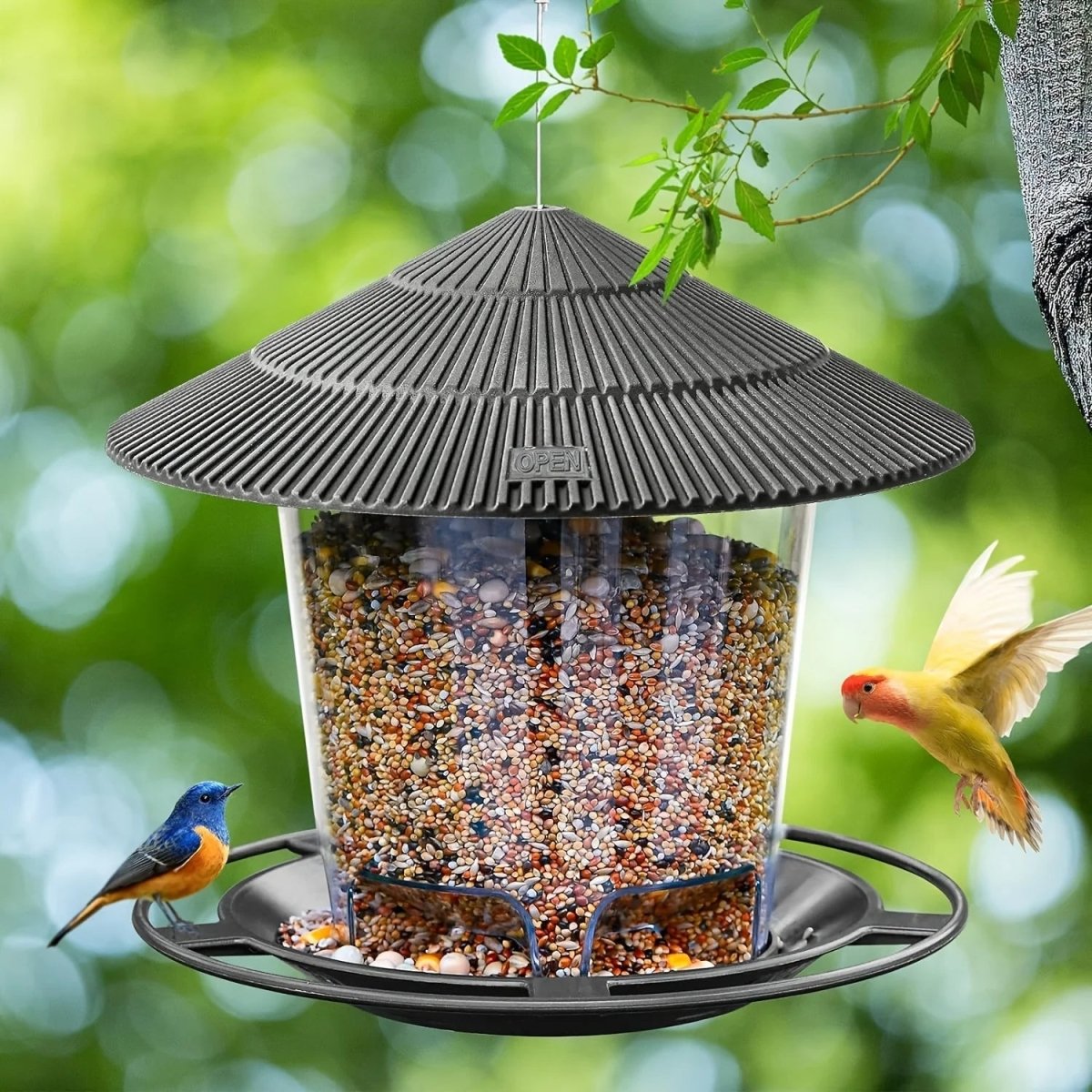 Havena Vogelfutterspender - Wetterfest, Mehrloch-Design 0