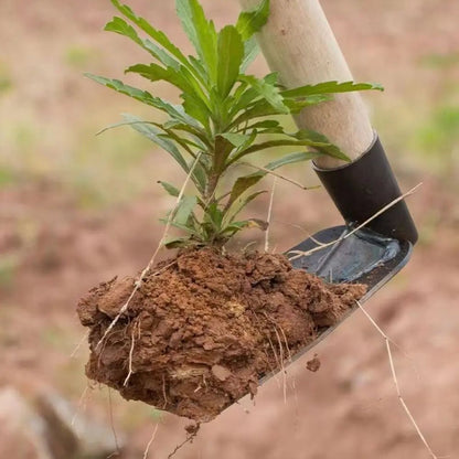 Havira Gartenhacke - Robuster Stahl, Vielseitig Einsetzbar 5