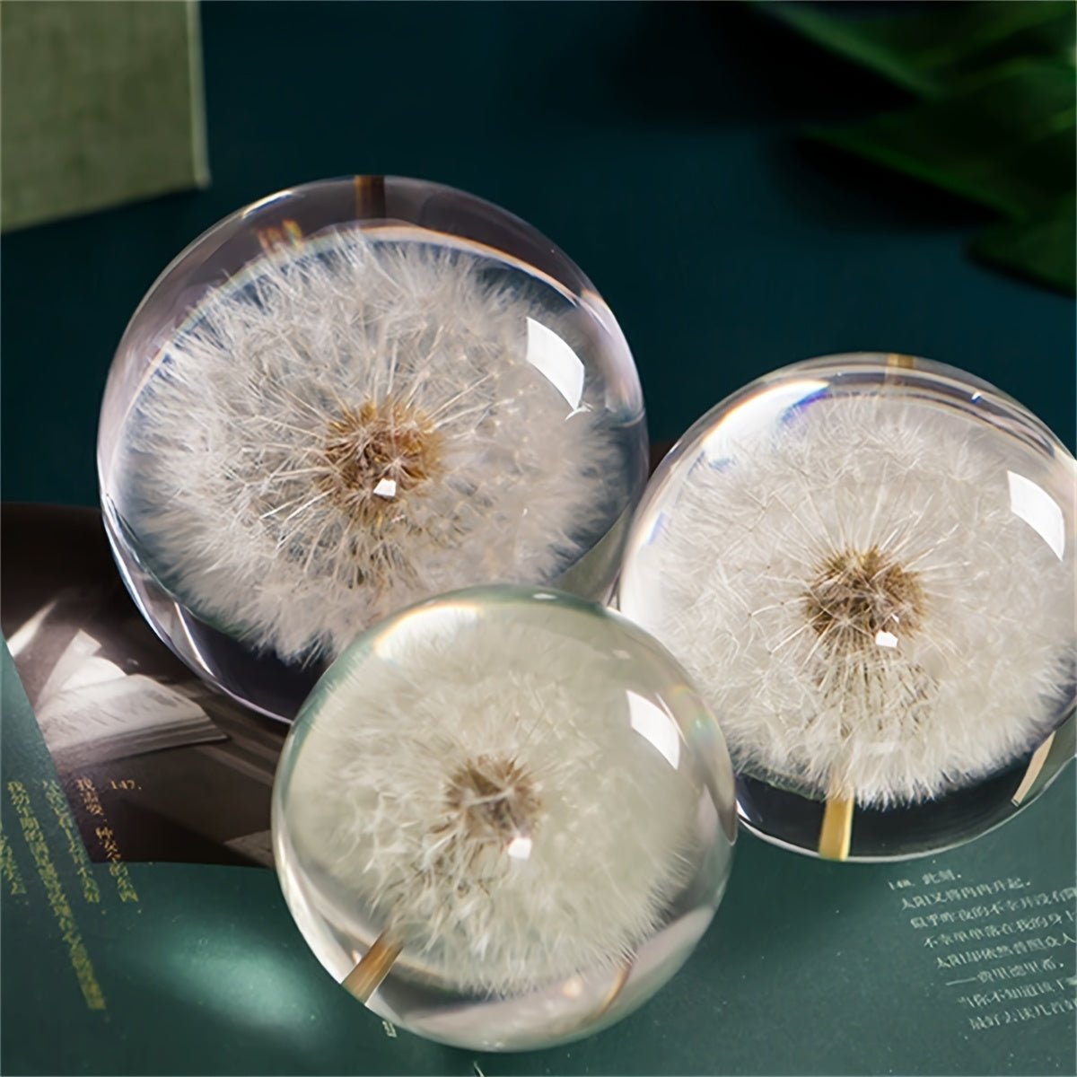 Klarenza Kristallkugel Deko - Glas mit Löwenzahn, Art Deco Stil 1