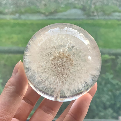Klarenza Kristallkugel Deko - Glas mit Löwenzahn, Art Deco Stil 5