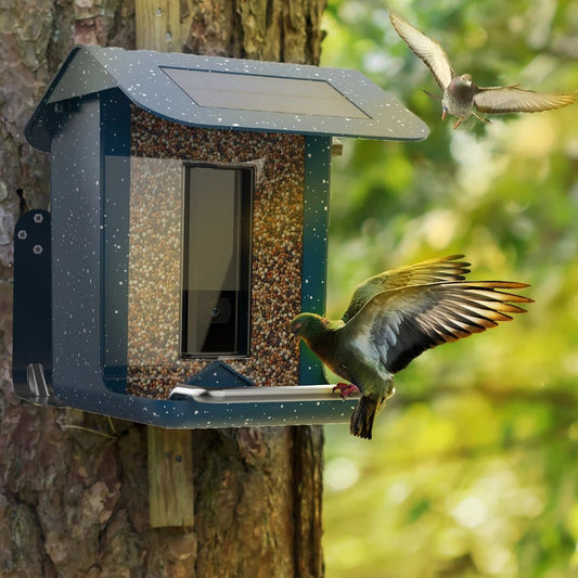 NESTECH Vogelfutterhaus - Wetterfest mit 4MP Kamera und App-Steuerung 0