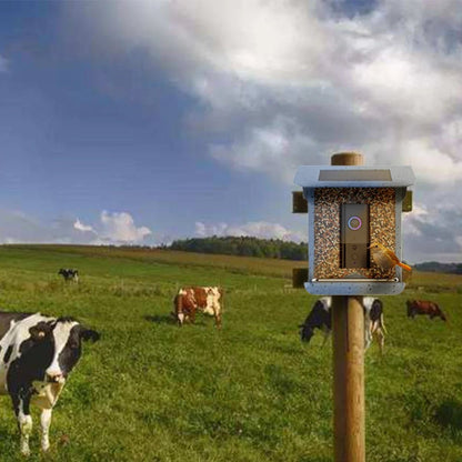 NESTECH Vogelfutterhaus - Wetterfest mit 4MP Kamera und App-Steuerung 1