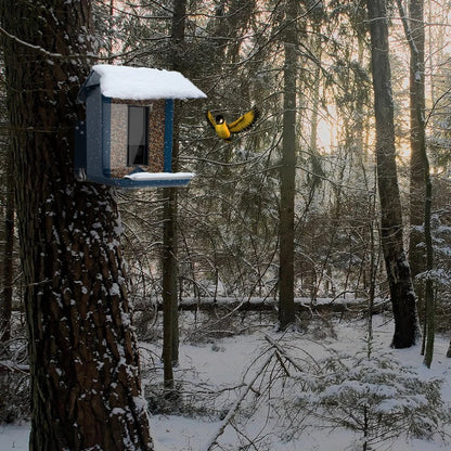 NESTECH Vogelfutterhaus - Wetterfest mit 4MP Kamera und App-Steuerung 2