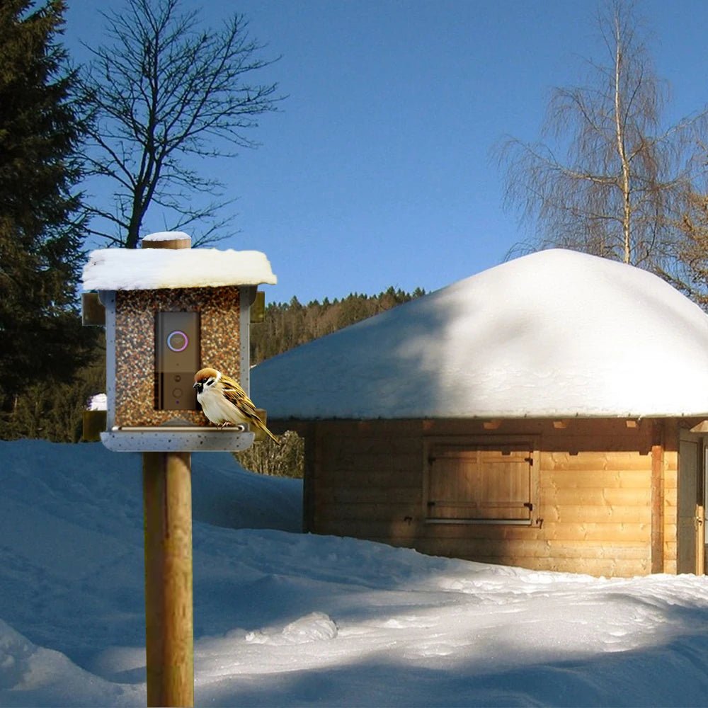 NESTECH Vogelfutterhaus - Wetterfest mit 4MP Kamera und App-Steuerung 3