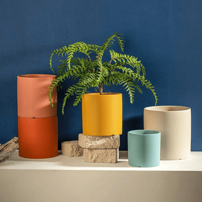 Pflaniva Blumentopf - Keramik, Elegantes Design mit Wasserablaufloch und Untersetzer 3