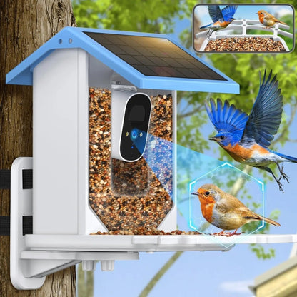 SolaBird Vogelhaus - Solarbetrieben mit 2,4K-HD-Kamera, Wetterfest 4
