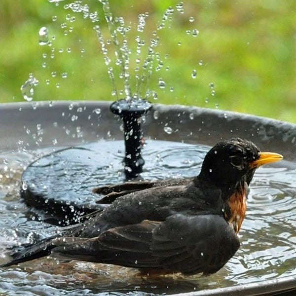 Solea Solarbrunnen - Umweltfreundlich, Vielseitig für Garten und Terrasse 4