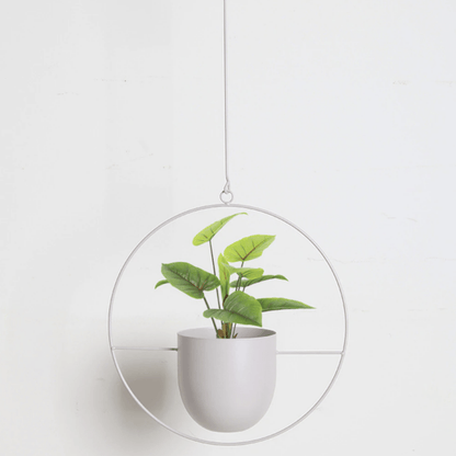 Vero Wand-Pflanzenhalter - Eisen, Minimalistisch mit Verstellbarer Kette 13