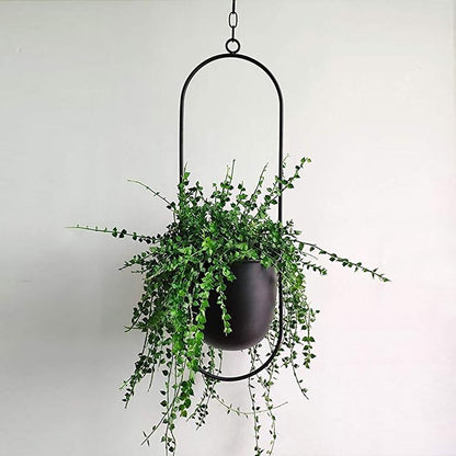 Vero Wand-Pflanzenhalter - Eisen, Minimalistisch mit Verstellbarer Kette 4