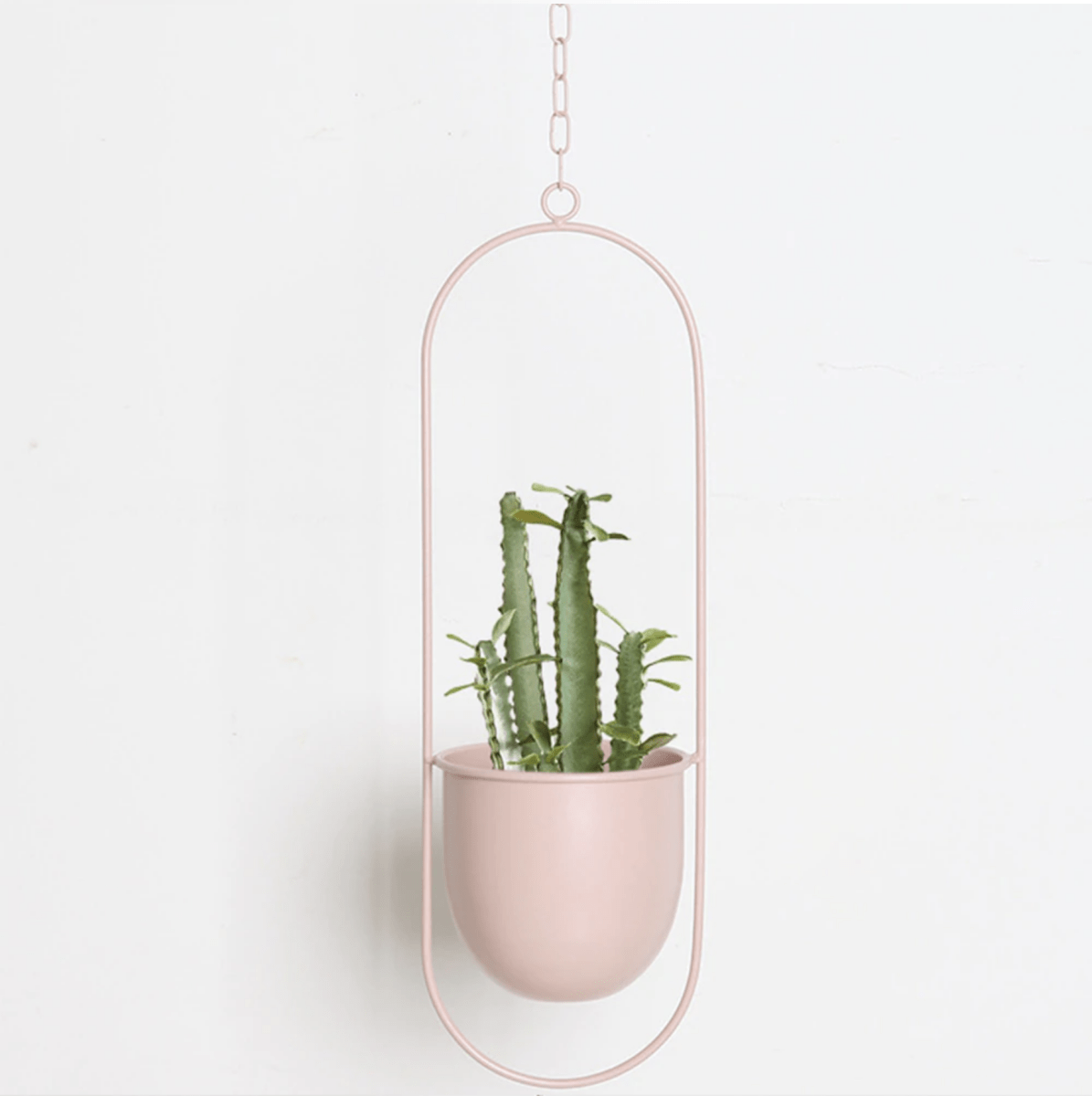 Vero Wand-Pflanzenhalter - Eisen, Minimalistisch mit Verstellbarer Kette 7