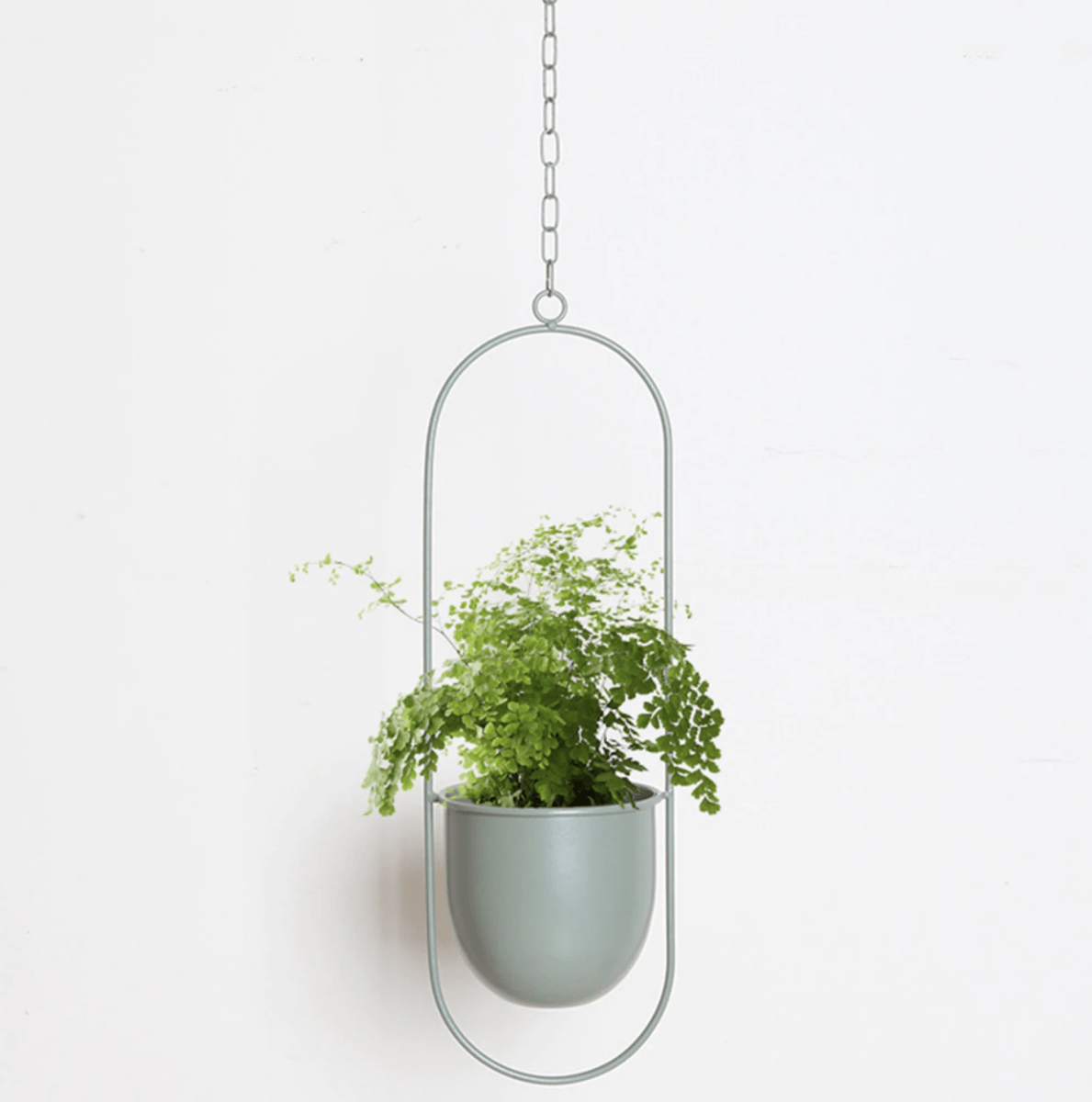 Vero Wand-Pflanzenhalter - Eisen, Minimalistisch mit Verstellbarer Kette 8